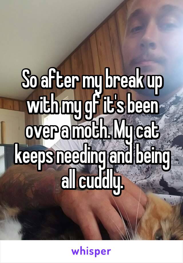 So after my break up with my gf it's been over a moth. My cat keeps needing and being all cuddly.