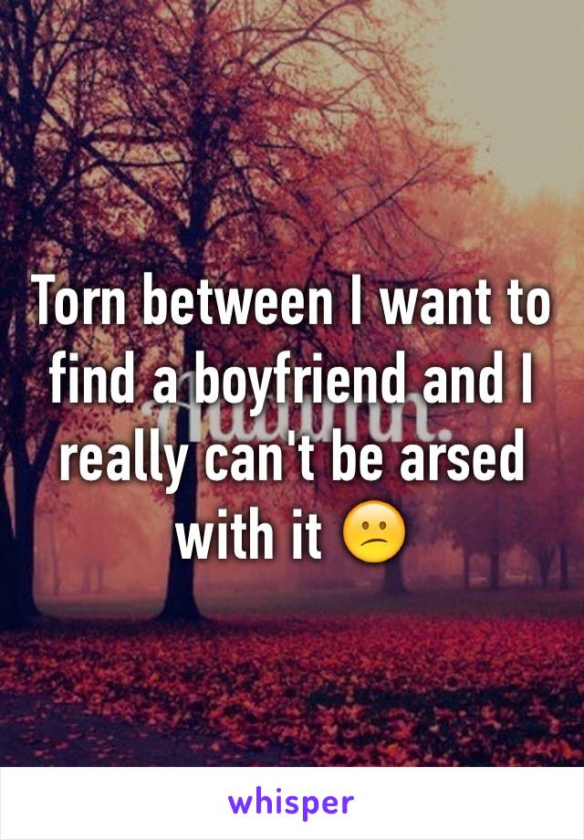 Torn between I want to find a boyfriend and I really can't be arsed with it 😕