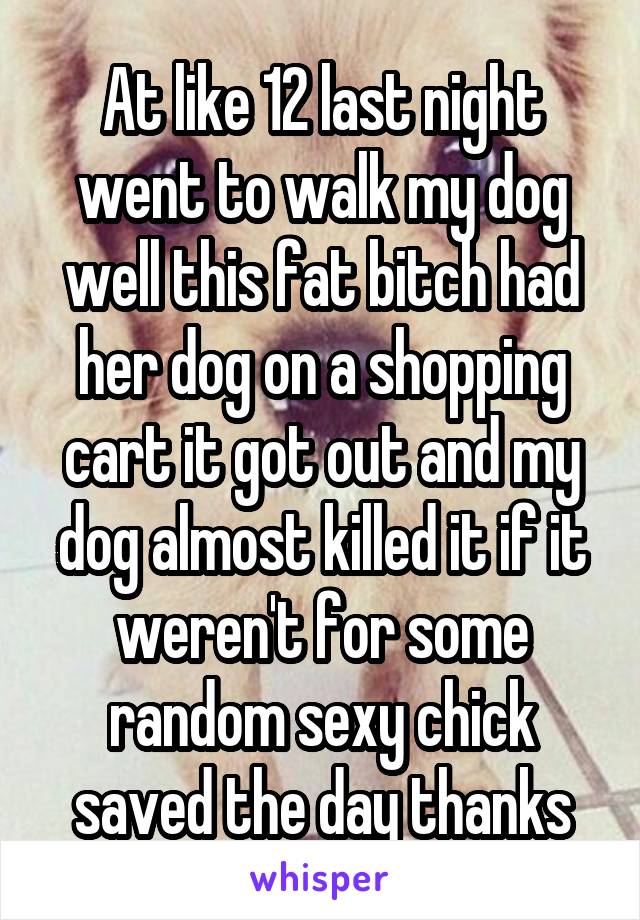 At like 12 last night went to walk my dog well this fat bitch had her dog on a shopping cart it got out and my dog almost killed it if it weren't for some random sexy chick saved the day thanks