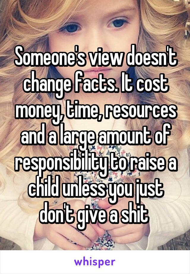 Someone's view doesn't change facts. It cost money, time, resources and a large amount of responsibility to raise a child unless you just don't give a shit 