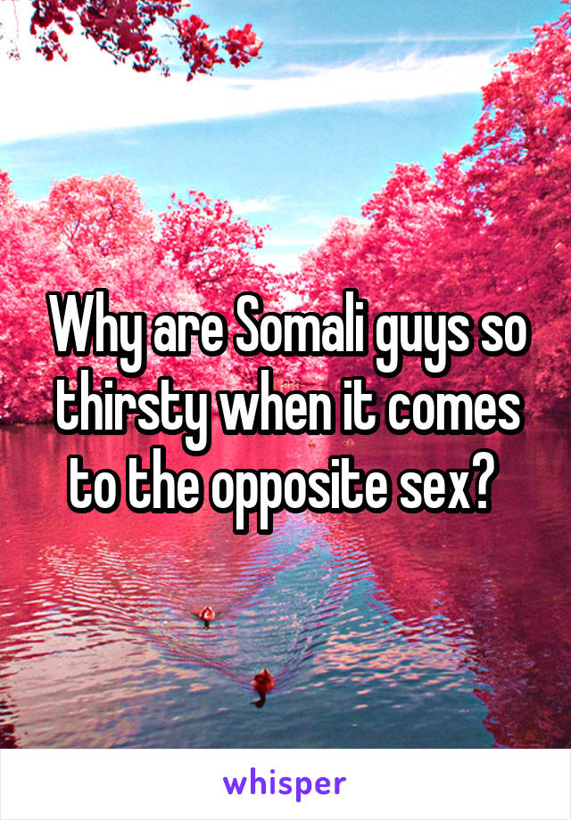 Why are Somali guys so thirsty when it comes to the opposite sex? 