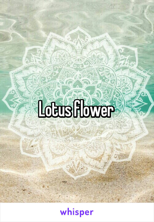 Lotus flower 