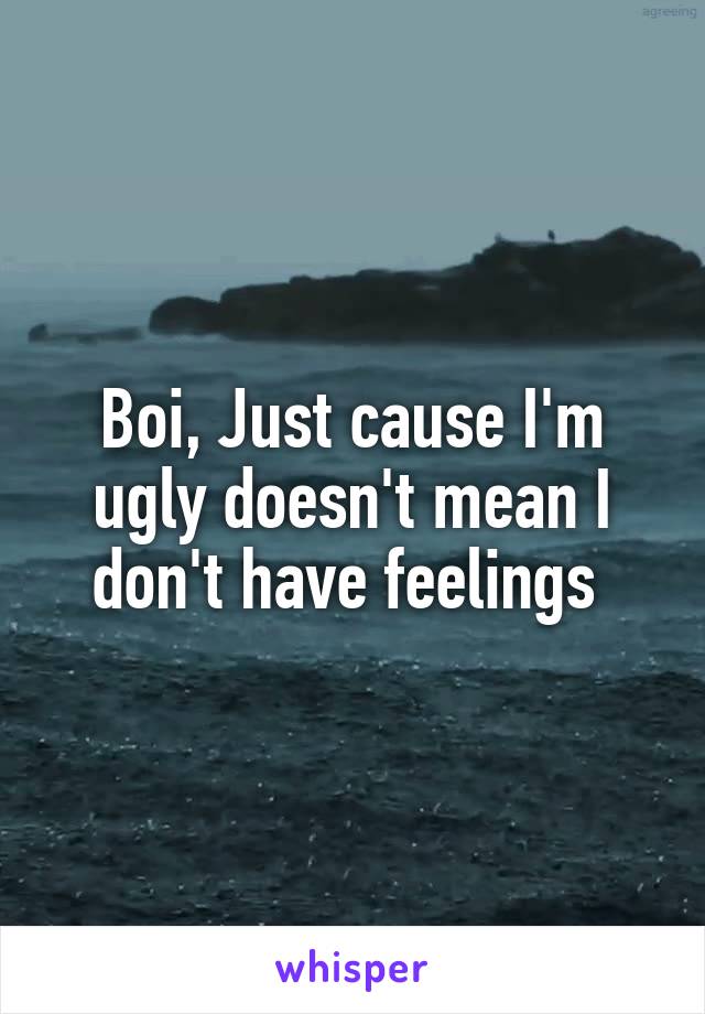 Boi, Just cause I'm ugly doesn't mean I don't have feelings 