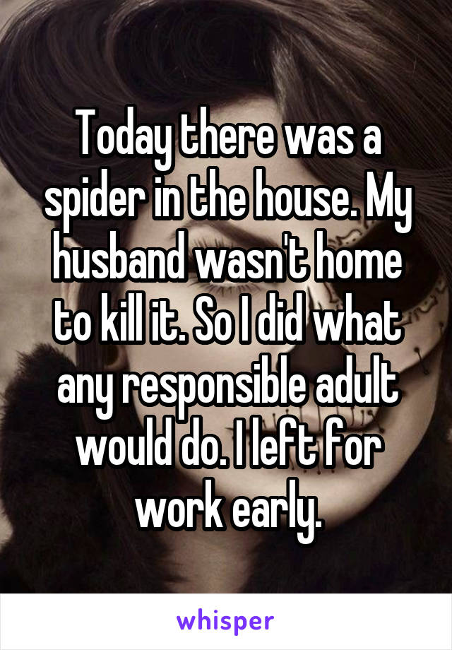 Today there was a spider in the house. My husband wasn't home to kill it. So I did what any responsible adult would do. I left for work early.