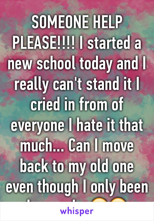 SOMEONE HELP PLEASE!!!! I started a new school today and I really can't stand it I cried in from of everyone I hate it that much... Can I move back to my old one even though I only been here a day😞😞