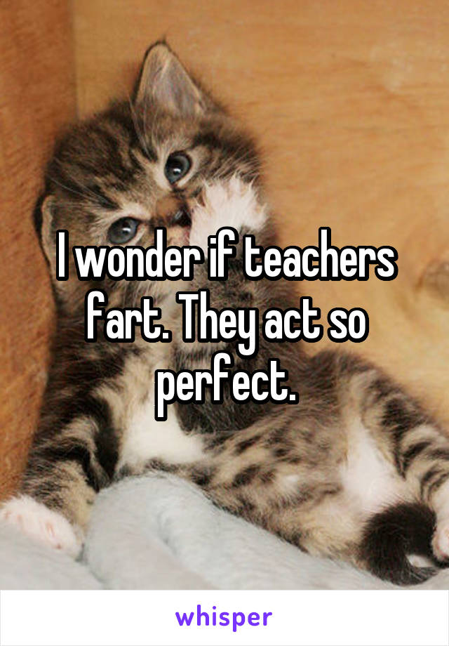 I wonder if teachers fart. They act so perfect.