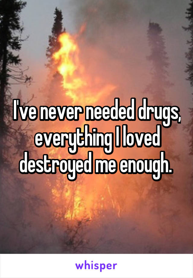 I've never needed drugs, everything I loved destroyed me enough. 