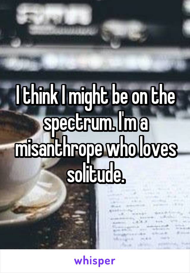 I think I might be on the spectrum. I'm a misanthrope who loves solitude.