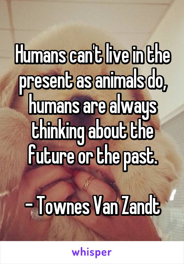 Humans can't live in the present as animals do, humans are always thinking about the future or the past.

- Townes Van Zandt