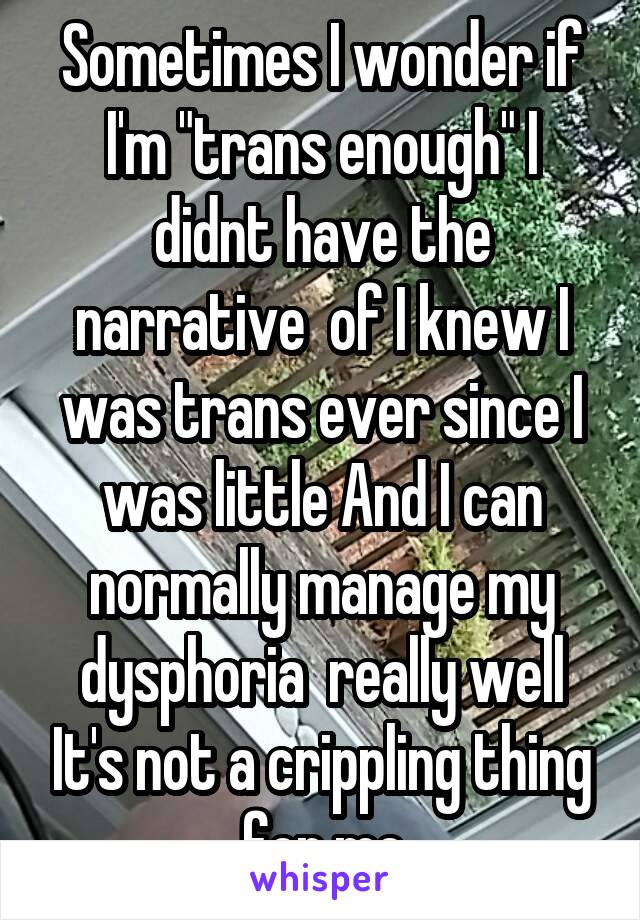 Sometimes I wonder if I'm "trans enough" I didnt have the narrative  of I knew I was trans ever since I was little And I can normally manage my dysphoria  really well It's not a crippling thing for me