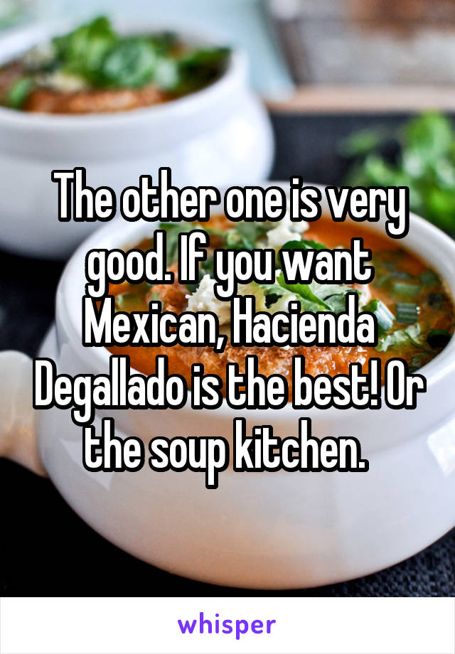 The other one is very good. If you want Mexican, Hacienda Degallado is the best! Or the soup kitchen. 