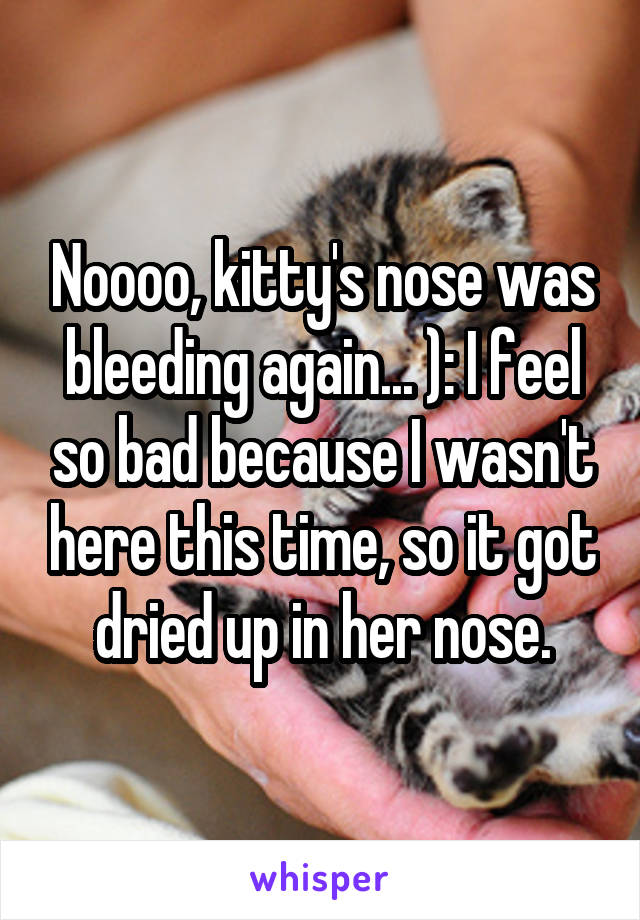 Noooo, kitty's nose was bleeding again... ): I feel so bad because I wasn't here this time, so it got dried up in her nose.