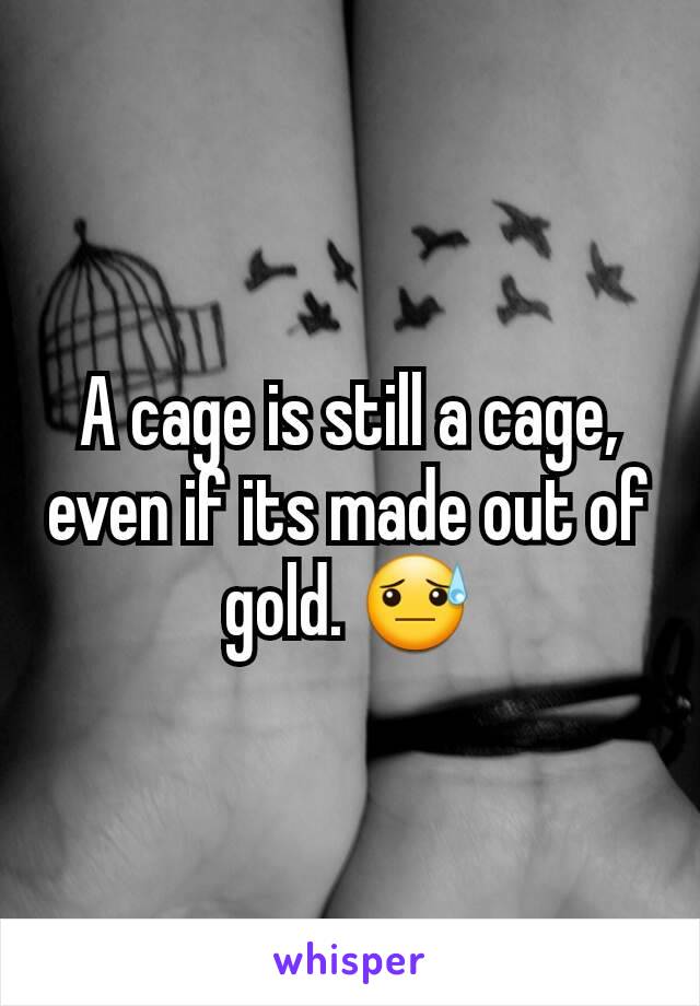 A cage is still a cage, even if its made out of gold. 😓