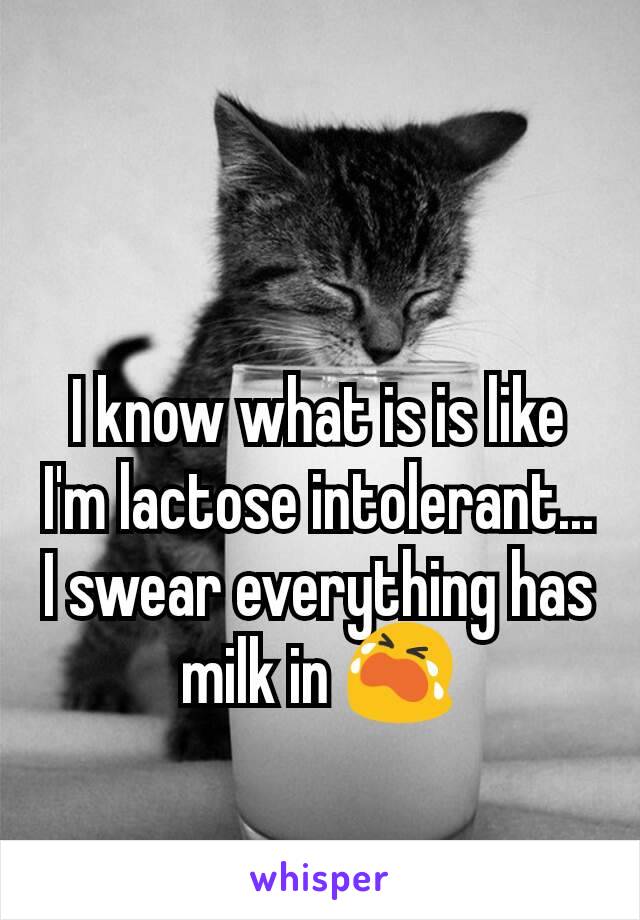 I know what is is like I'm lactose intolerant... I swear everything has milk in 😭