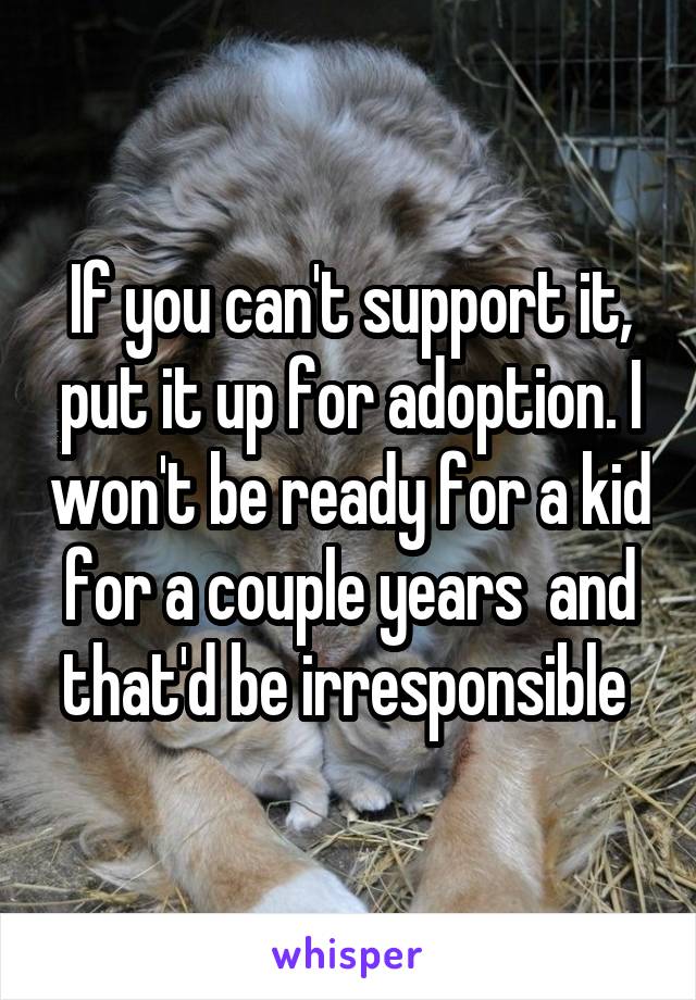 If you can't support it, put it up for adoption. I won't be ready for a kid for a couple years  and that'd be irresponsible 