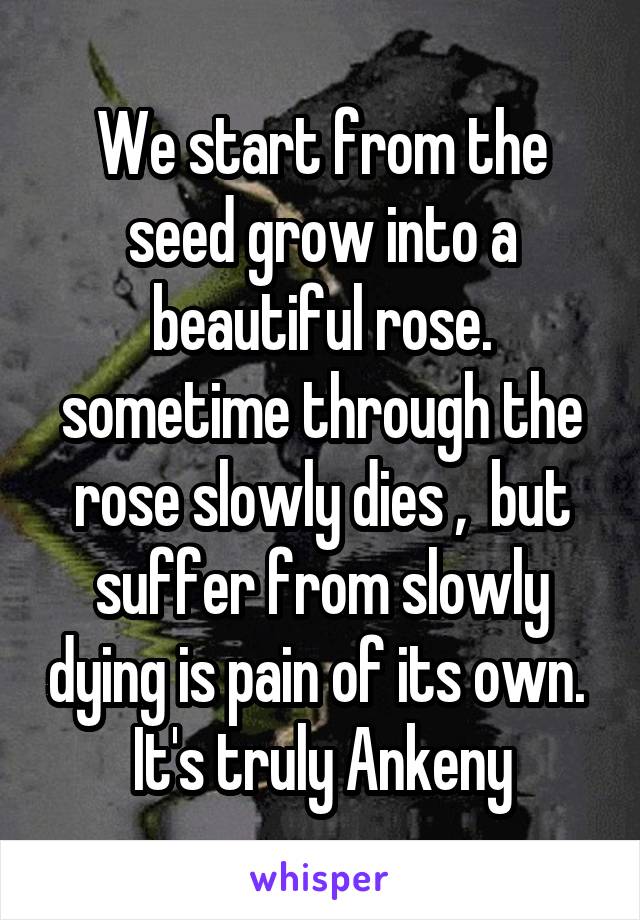 We start from the seed grow into a beautiful rose. sometime through the rose slowly dies ,  but suffer from slowly dying is pain of its own.  It's truly Ankeny