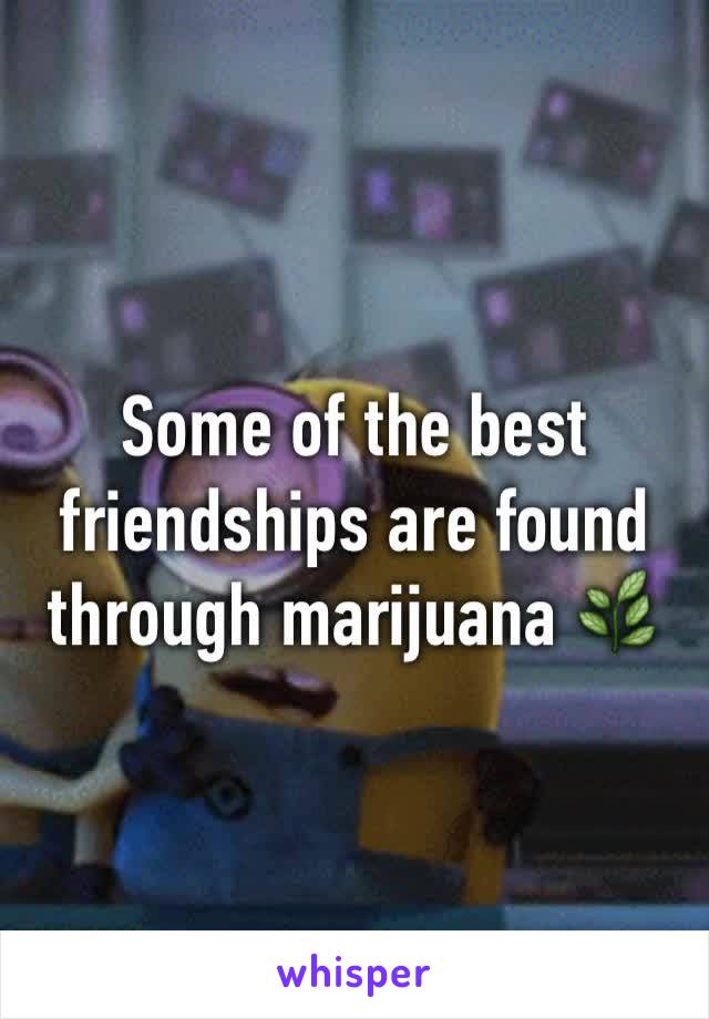 Some of the best friendships are found through marijuana 🌿