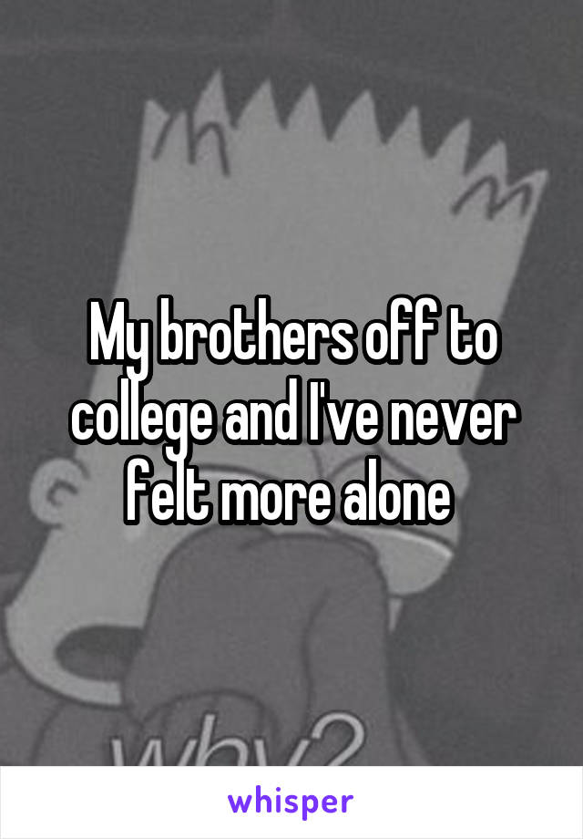 My brothers off to college and I've never felt more alone 