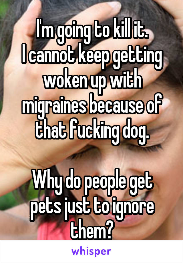 I'm going to kill it.
I cannot keep getting woken up with migraines because of that fucking dog.

Why do people get pets just to ignore them?