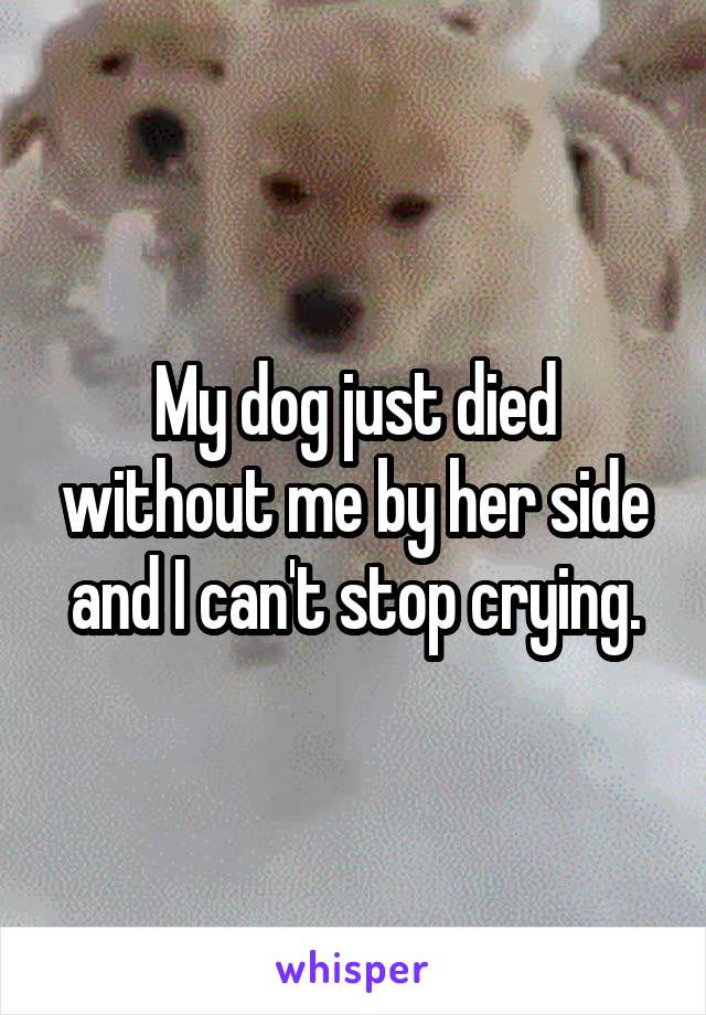 My dog just died without me by her side and I can't stop crying.