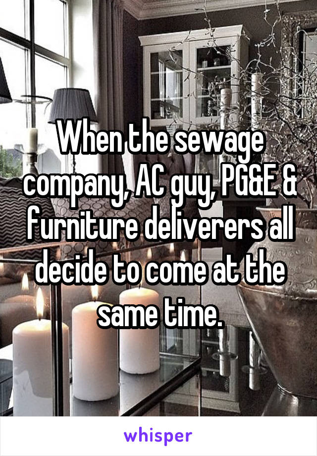 When the sewage company, AC guy, PG&E & furniture deliverers all decide to come at the same time.