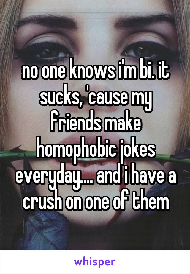 no one knows i'm bi. it sucks, 'cause my friends make homophobic jokes everyday.... and i have a crush on one of them