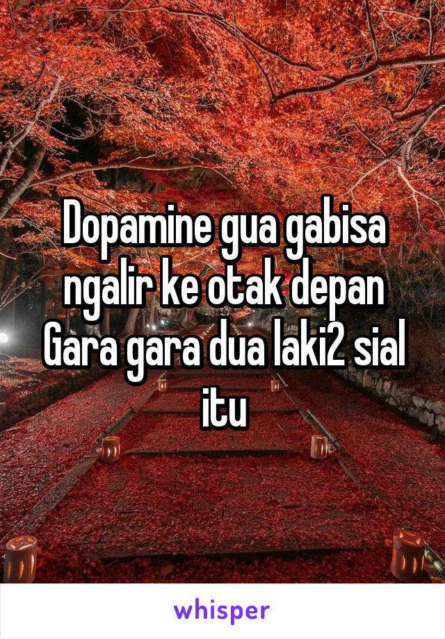 Dopamine gua gabisa ngalir ke otak depan
Gara gara dua laki2 sial itu