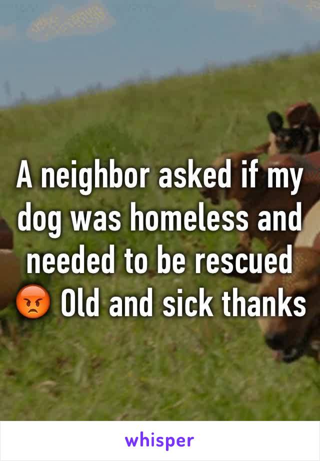 A neighbor asked if my dog was homeless and needed to be rescued 😡 Old and sick thanks 