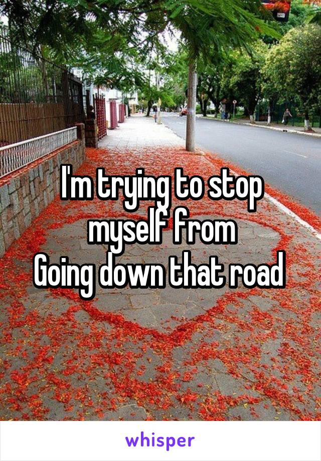 I'm trying to stop myself from
Going down that road 