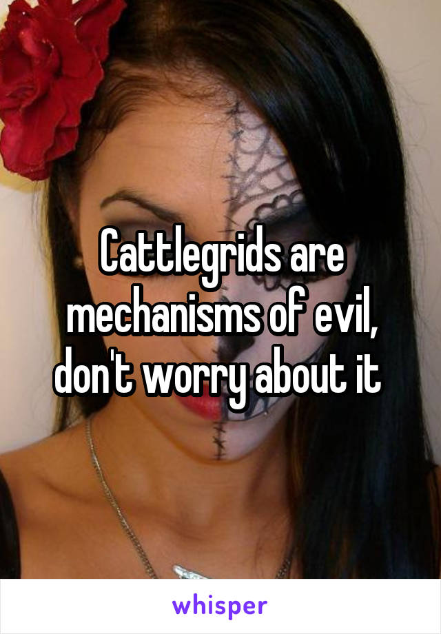 Cattlegrids are mechanisms of evil, don't worry about it 