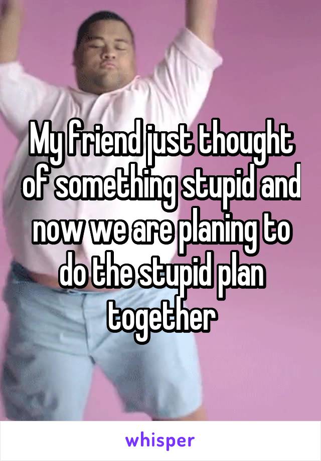 My friend just thought of something stupid and now we are planing to do the stupid plan together