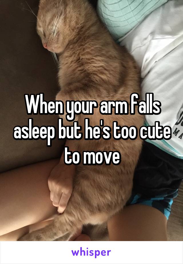 When your arm falls asleep but he's too cute to move