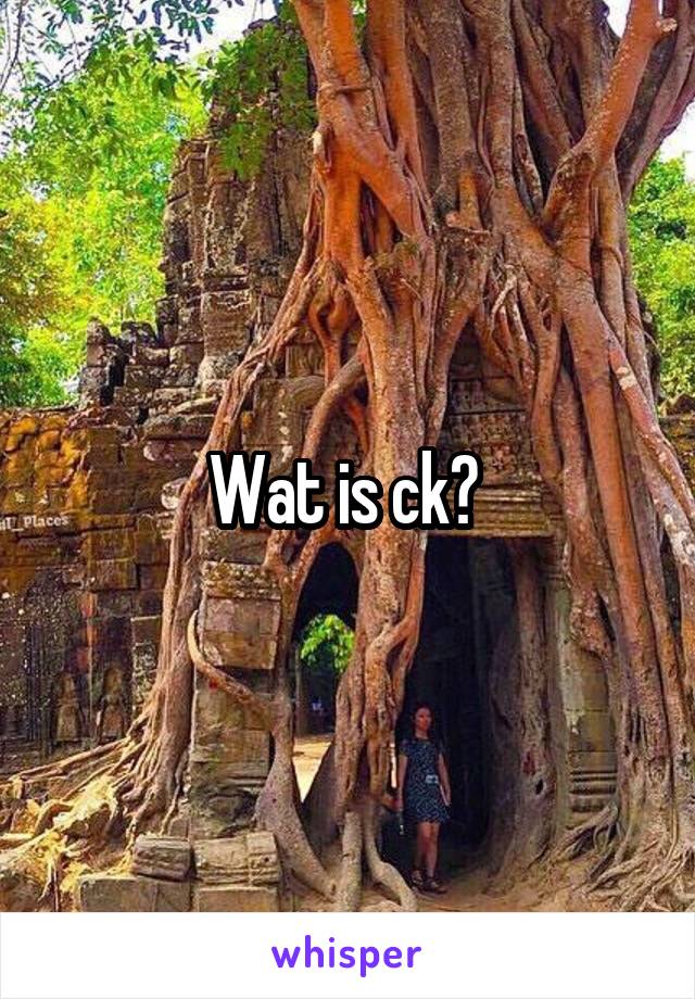 Wat is ck? 