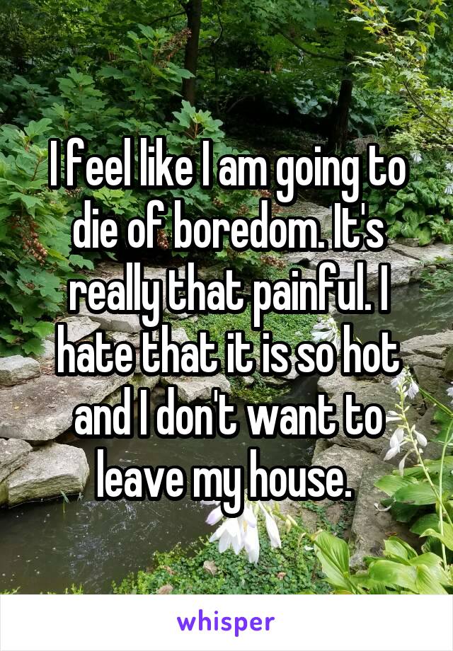 I feel like I am going to die of boredom. It's really that painful. I hate that it is so hot and I don't want to leave my house. 