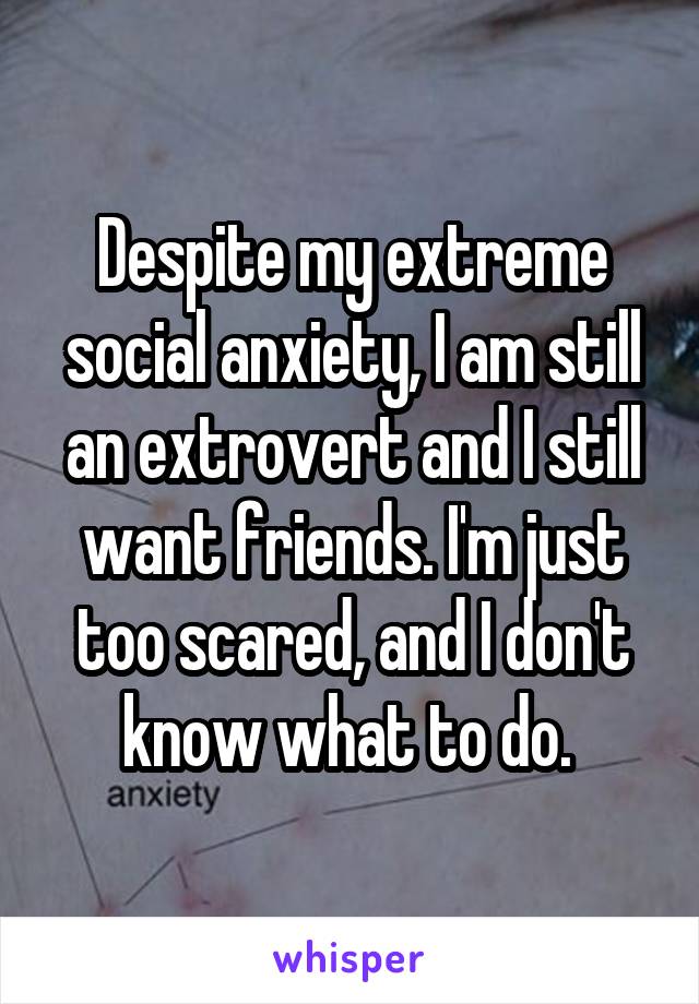 Despite my extreme social anxiety, I am still an extrovert and I still want friends. I'm just too scared, and I don't know what to do. 