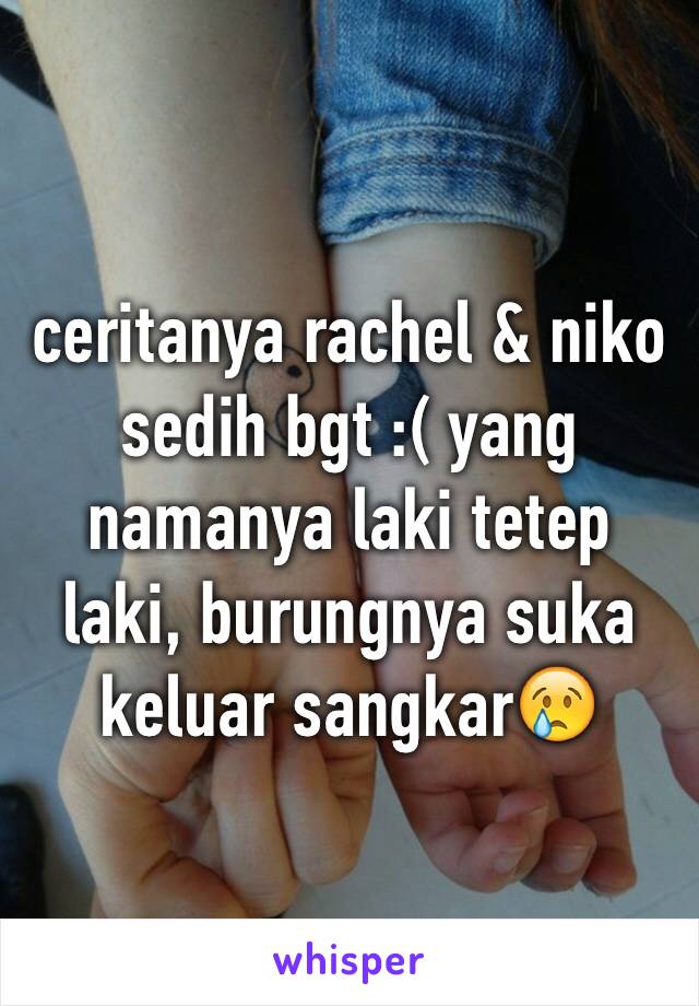 ceritanya rachel & niko sedih bgt :( yang namanya laki tetep laki, burungnya suka keluar sangkar😢 