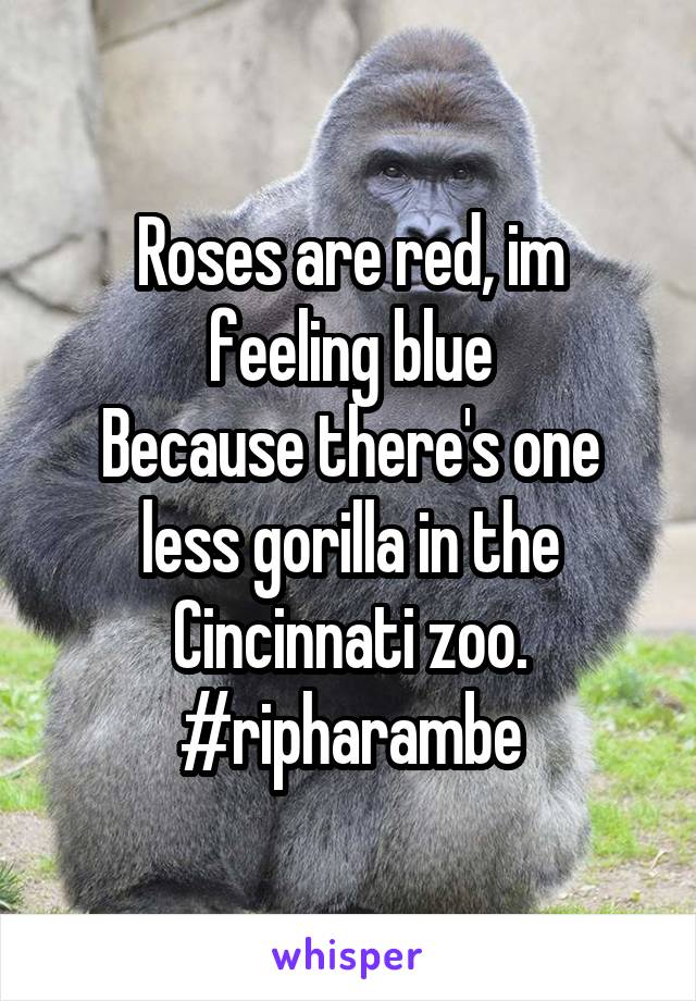 Roses are red, im feeling blue
Because there's one less gorilla in the Cincinnati zoo.
#ripharambe