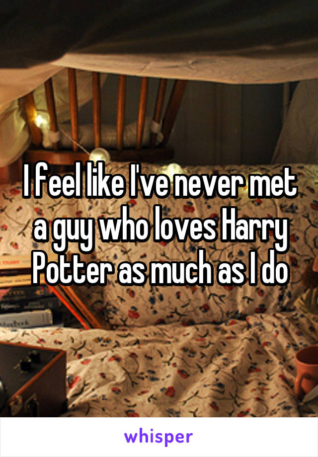 I feel like I've never met a guy who loves Harry Potter as much as I do