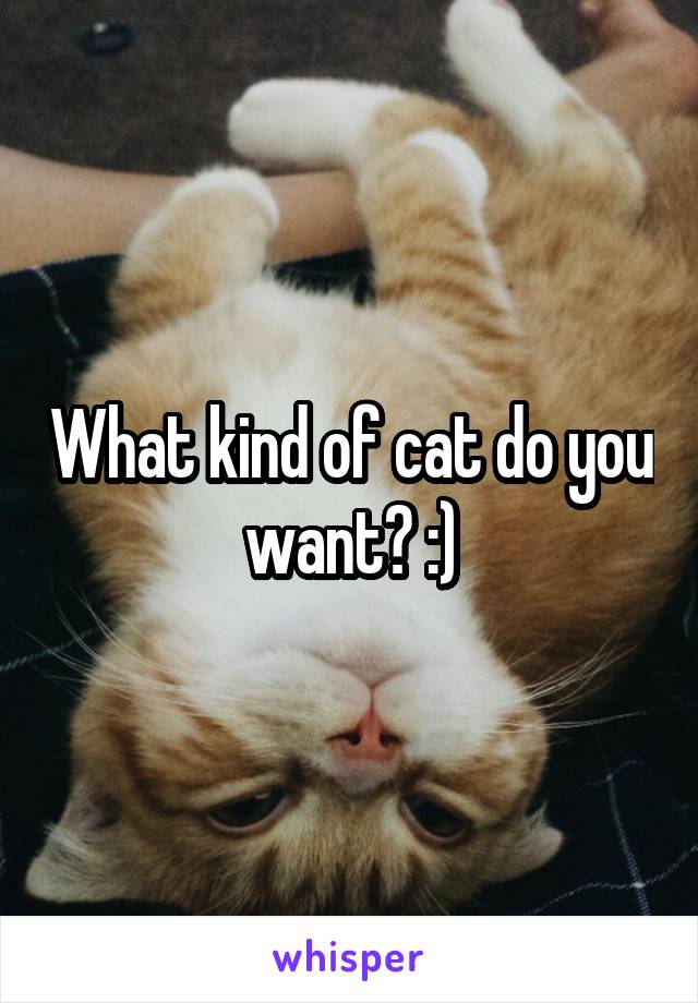 What kind of cat do you want? :)