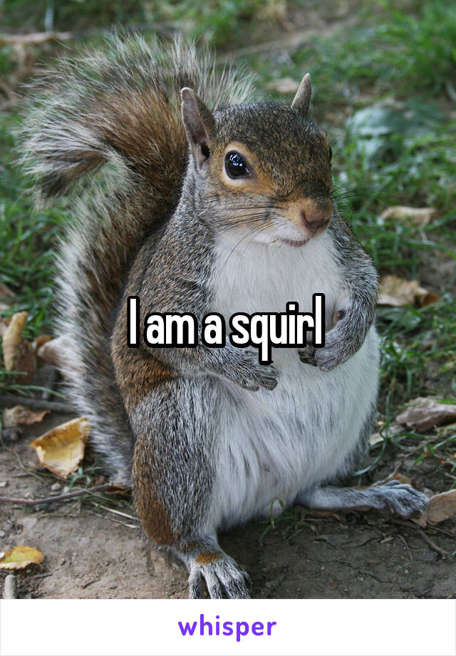 I am a squirl 