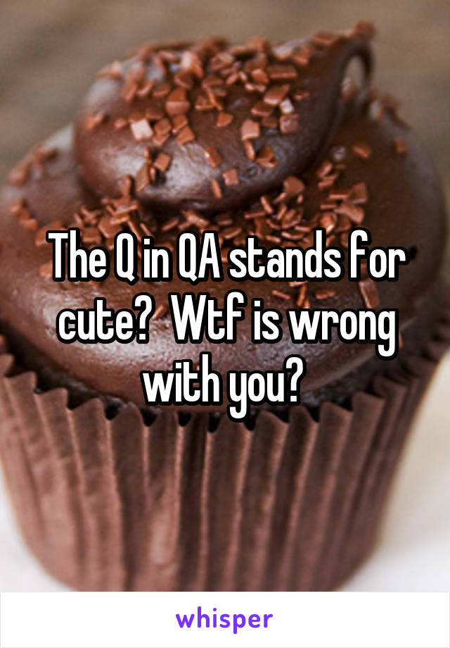 The Q in QA stands for cute?  Wtf is wrong with you? 