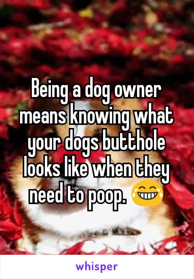 Being a dog owner means knowing what your dogs butthole looks like when they need to poop. 😂