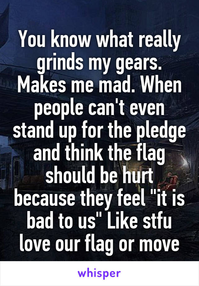 You know what really grinds my gears. Makes me mad. When people can't even stand up for the pledge and think the flag should be hurt because they feel "it is bad to us" Like stfu love our flag or move