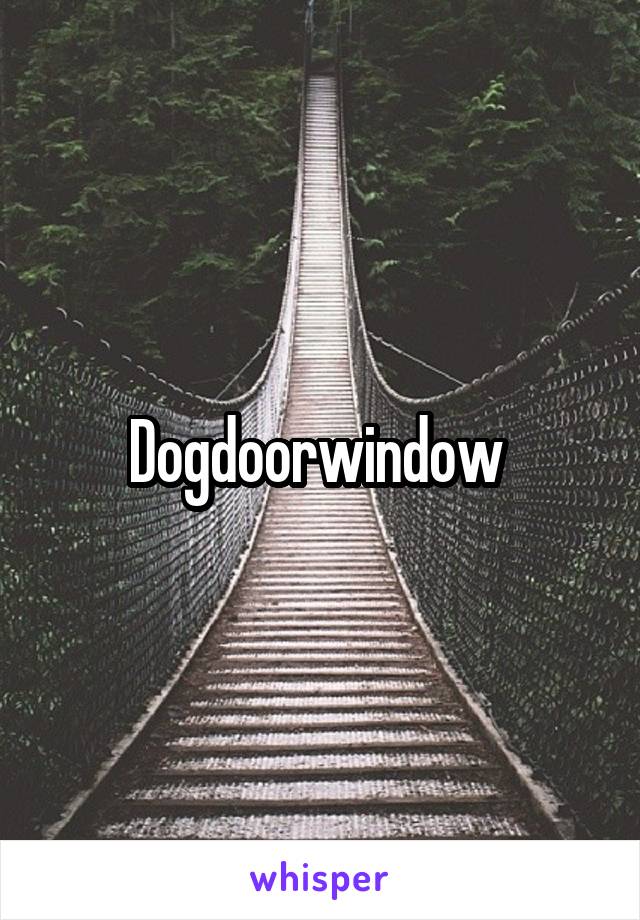 Dogdoorwindow 