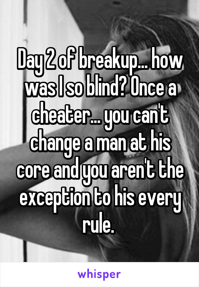 Day 2 of breakup... how was I so blind? Once a cheater... you can't change a man at his core and you aren't the exception to his every rule. 