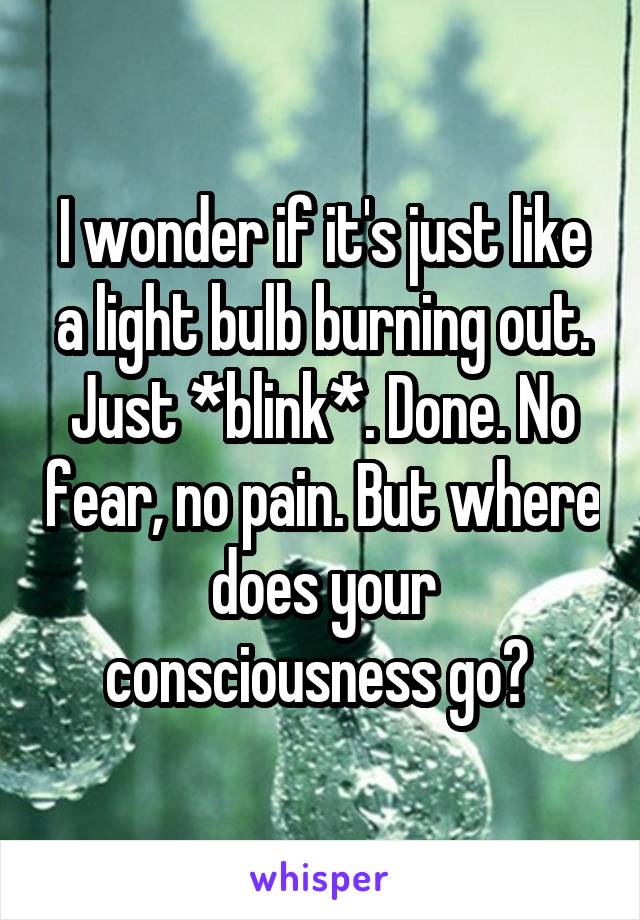 I wonder if it's just like a light bulb burning out. Just *blink*. Done. No fear, no pain. But where does your consciousness go? 