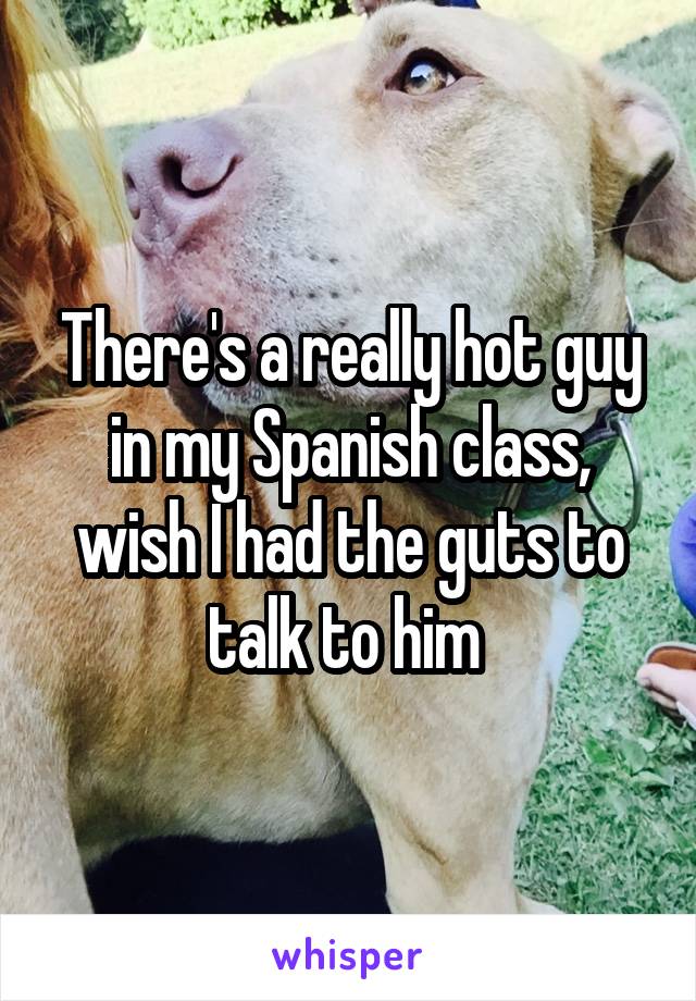 There's a really hot guy in my Spanish class, wish I had the guts to talk to him 