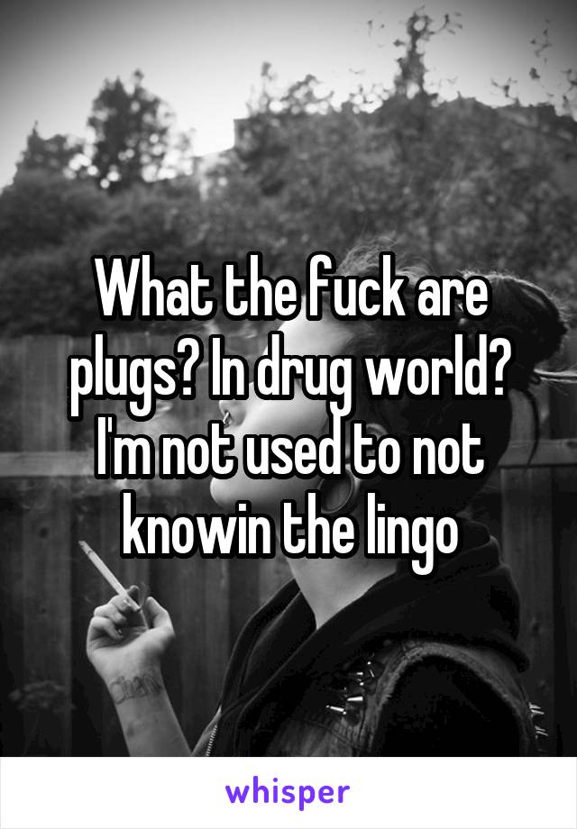 What the fuck are plugs? In drug world? I'm not used to not knowin the lingo