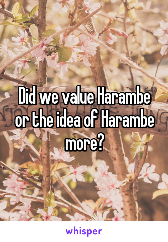 Did we value Harambe or the idea of Harambe more?