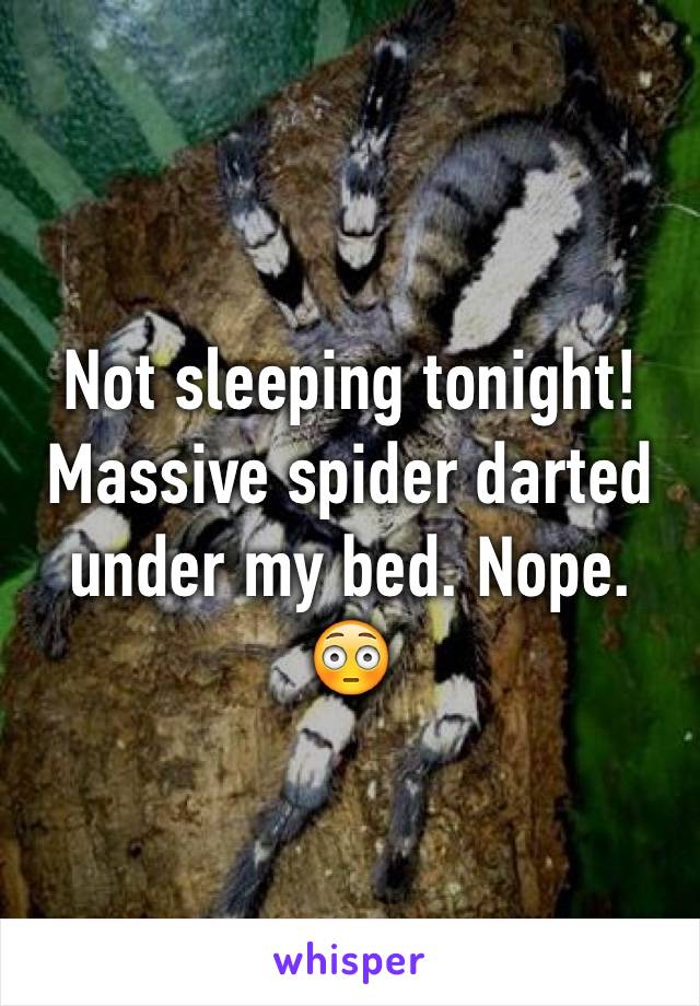 Not sleeping tonight! 
Massive spider darted under my bed. Nope. 😳